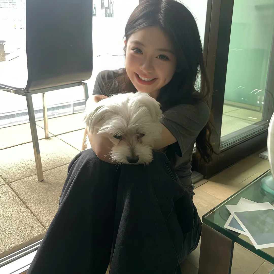 美国谍梦第三季